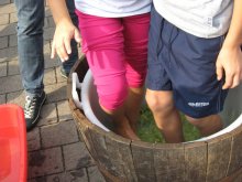 pigiatura dell'uva